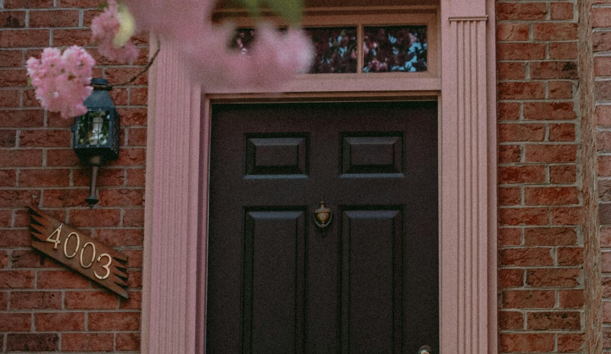 pexels-anfisa-eremina-1021202-2183865