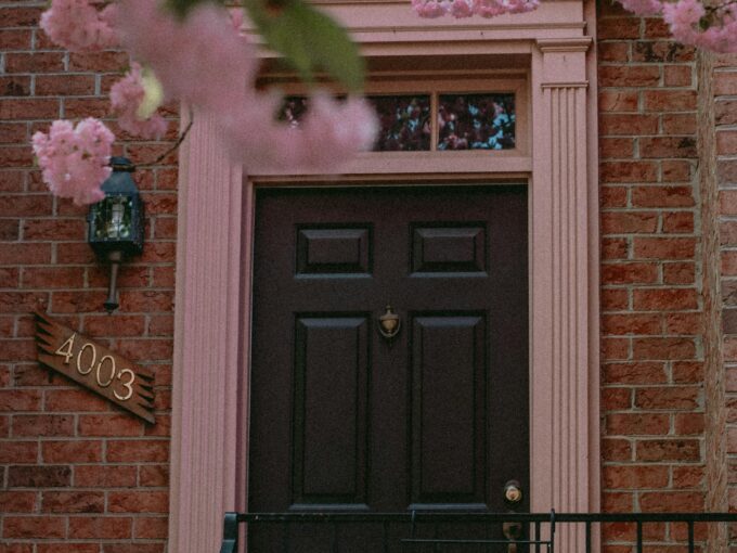 pexels-anfisa-eremina-1021202-2183865